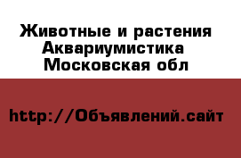 Животные и растения Аквариумистика. Московская обл.